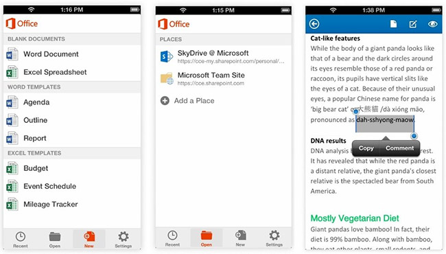 Microsoft Office Mobile for iPhone